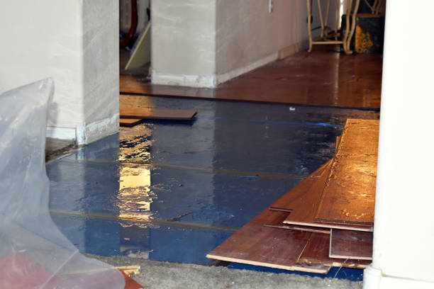 Professional Basement Flood Cleanup technician working in Fall River, WI
